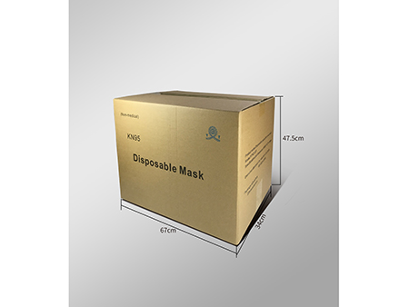 Disposable Mask